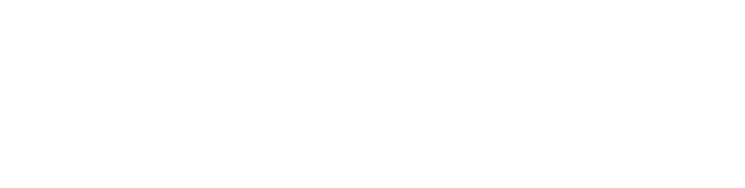 Amazon Ads partner